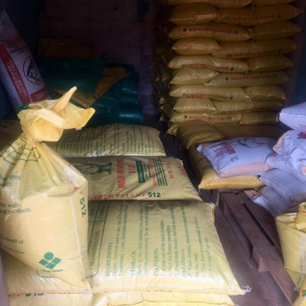 REM MULTI-GLOBAL AGRO CONCEPT NIGERIA LIMITED OFFICE, NSUKKA