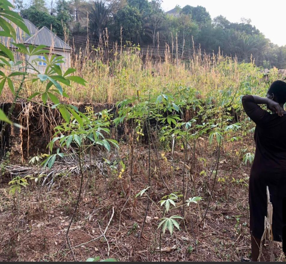 CONSTRUCTION OF A NEW NSUKKA MOTHERLESS BABIES HOME BUILDING ON OUR PERMANENT SITE
