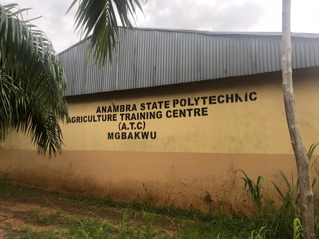 ANSPOLY AGRICULTURAL TRAINING CENTRE, MGBAKWU (YOUTH EMPOWERMENT)