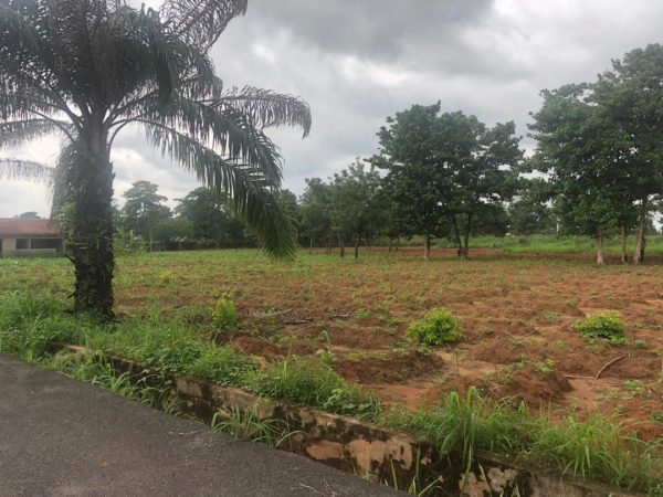ANSPOLY AGT DEMONSTRATION FARM, MGBAKWU