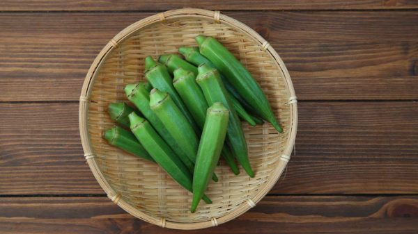 The National Horticultural Research Institute (NIHORT) said it had detected a new virus disease attacking Okra plants across Nigeria.  This is made…