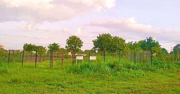 WEATHER INFO FARM, NOCEN, NSUGBE