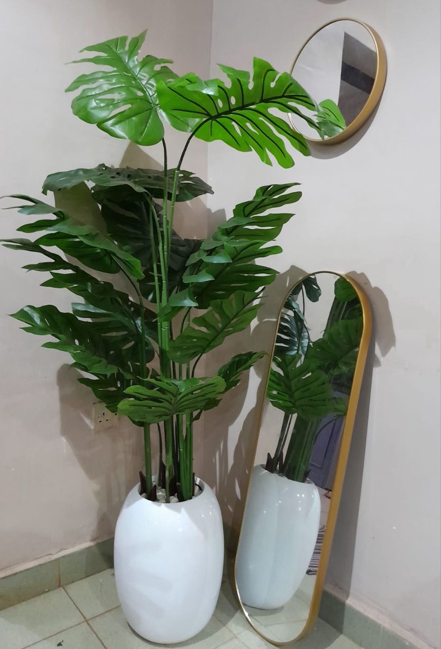 d6249bc1-528c-4395-bcca-58a92fe6f1d5