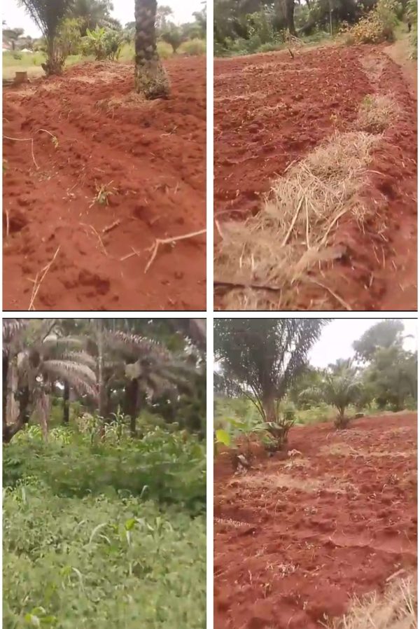 *2483* 1½ plots, N26m, Isiakpu, off Upper Aku Rd, Davicmoore Avenue, Nsukka, Nsukka LGA,  Enugu State