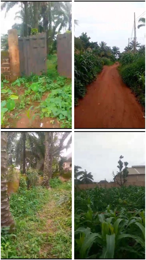 *2482* 1 plot  N26m, Ibagwa Ede, off Tectonics Rd, behind Urban Girl's Sec Sch, near Mechanic Village,  Nsukka, Nsukka LGA,  Enugu State