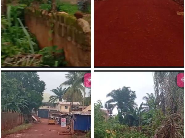*2480* 1½ plots, N45m, beside Urban Girl's Sec Sch, along untarred Rd to  Prosper De-Garden Hotel, fenced, Nsukka, Nsukka LGA,  Enugu State  WhatsA...
