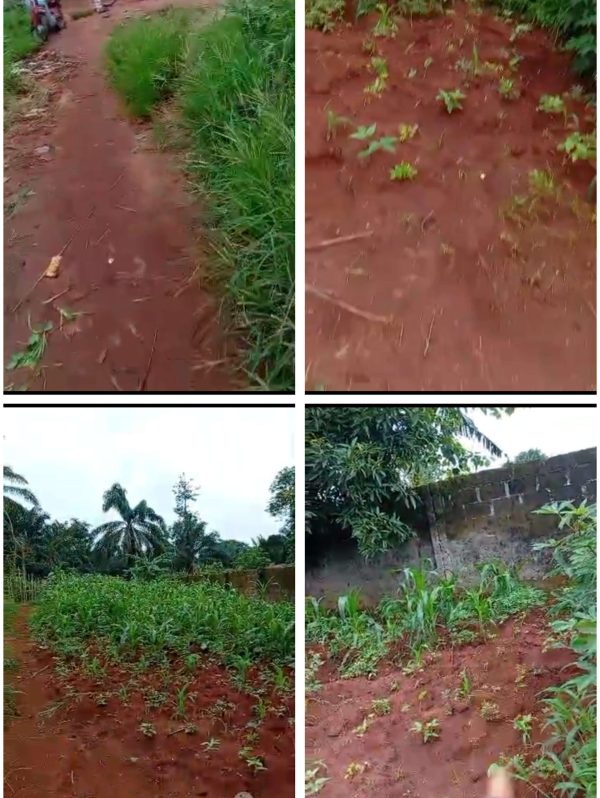 *2479*  1 plot, N15m, off Urban Girl's Rd, behind Urban Girl's Sec Sch(40/130)ft, Nsukka, Nsukka LGA,  Enugu State   WhatsApp 09033649738