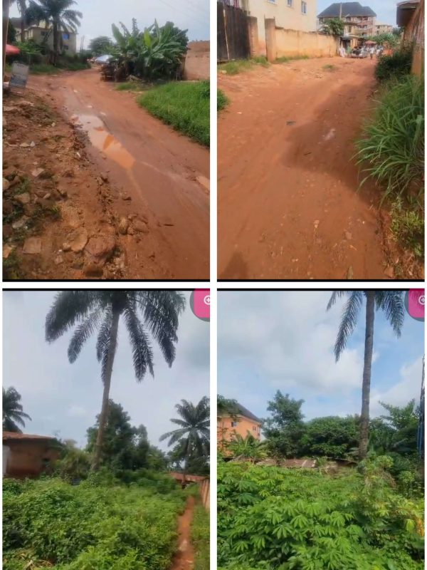 *2391* 1½ plots, N35m, off Nkpor Junction, about 2 poles from the tarred Rd, Nsukka, Nsukka LGA,  Enugu State  09033649738