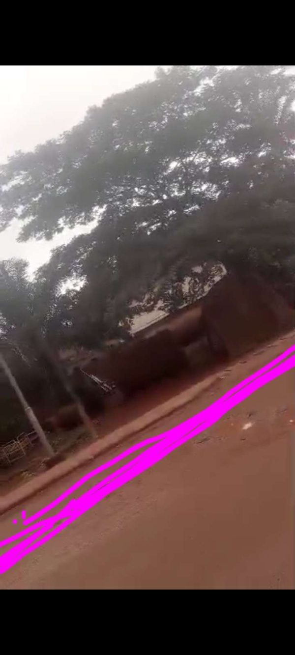 *2465*  1 plot, N70m, along tarred Orba Rd, Nsukka,  Nsukka LGA Enugu, State.. WhatsApp 09033649738 Properties@Nsukka, Properties@DimmaHomesNsukka ...