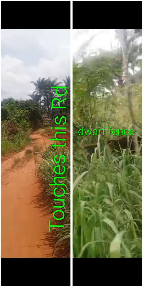 *2459* 1 plot, N16.5m, Agbani, off Ogurugu Rd, near New International Market, ( 51ft by 92ft) WhatsApp 09033649738 Properties@Nsukka, Properties@Di...