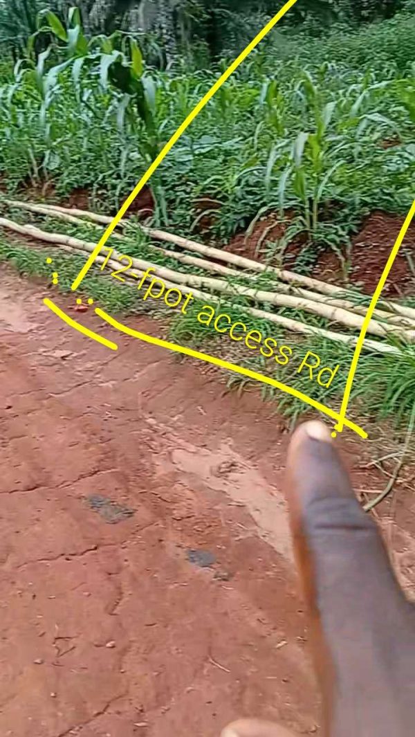 *2457* ½ plot, N10m, Edem Nru, off Nru Junction, near First Choice Guest House, Nsukka, Nsukka LGA , Enugu State WhatsApp 09033649738 Properties@Ns...