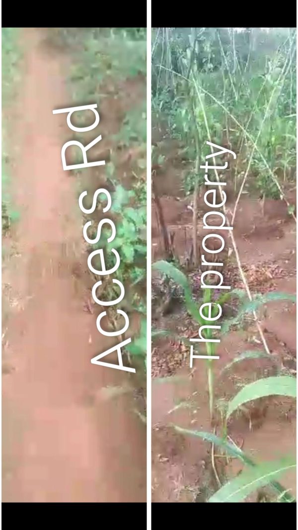 *2506* 1+ plot, N12m,, Umuchagwu/ogbodu,  Edem-Ani , Nsukka, Nsukka LGA, Enugu State  WhatsApp 09033649738 Properties@Nsukka, Properties@DimmaHomes...