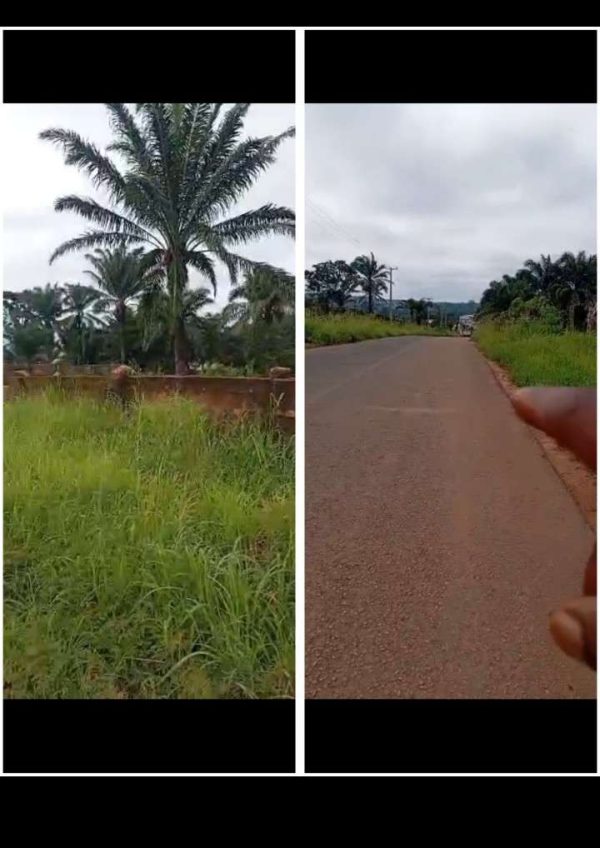 2518* 2 plots, N75m, along tarred Nguru -Edeoballa Rd, Nguru  WhatsApp 09033649738 Properties@Nsukka, Properties@DimmaHomesNsukka) Twoplotsforsale@...