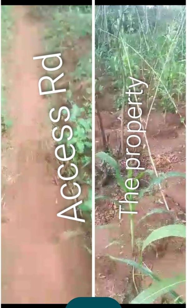 *2506* 1+ plot, N12m,, Umuchagwu/ogbodu,  Edem-Ani , Nsukka, Nsukka LGA, Enugu State  WhatsApp 09033649738 Properties@Nsukka, Properties@DimmaHomes...