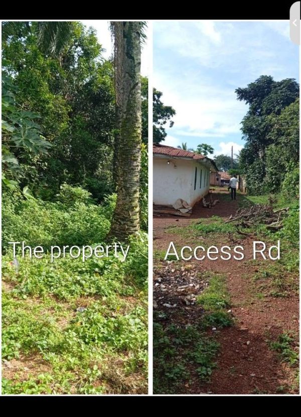 *2523*. 1 plot, N32m, Ugwuachara, off ogurugu Rd, near OlumbaOlumba , Nsukka, Nsukka LGA, Enugu State WhatsApp 09033649738 Properties@Nsukka, Prope...