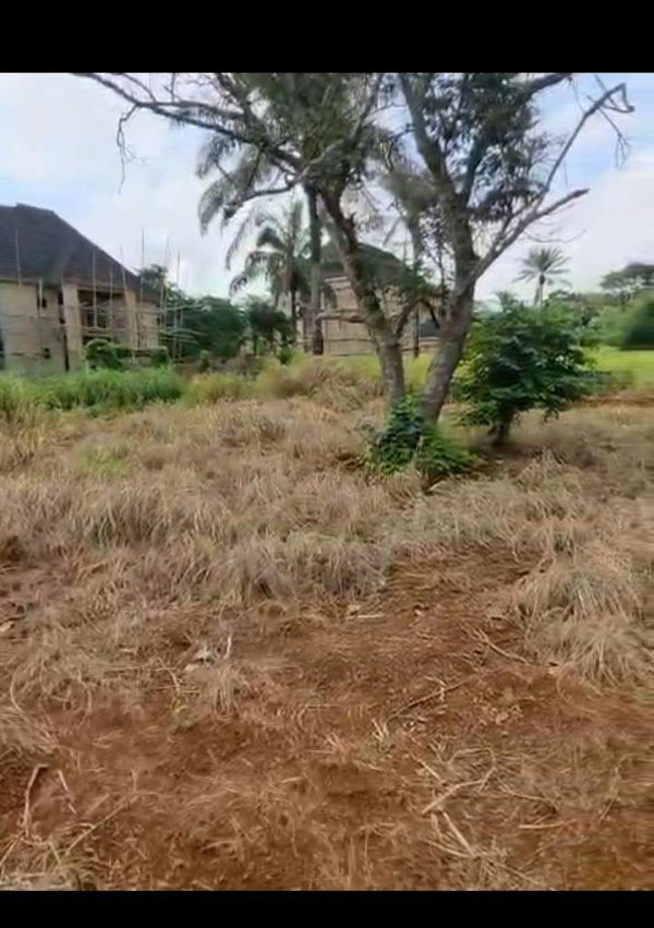 *2515* 4 plots, N20m each, behind Odoru Primary School, adjacent  Odoru Health Centre. WhatsApp 09033649738 Properties@Nsukka, Properties@DimmaHome...