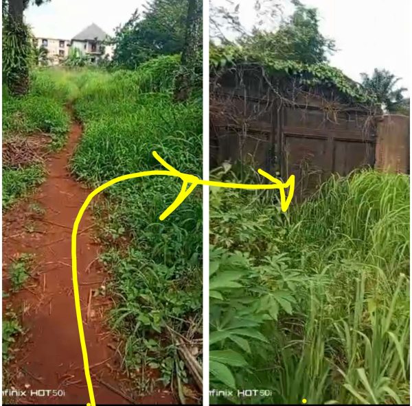 *2537*. 2 plots,  N55m, odenigwe, off Orba Rd,, near Umudiukw, fenced with gate , Nsukka, ,Nsukka LGA, Enugu State  WhatsApp 09033649738 Properties...
