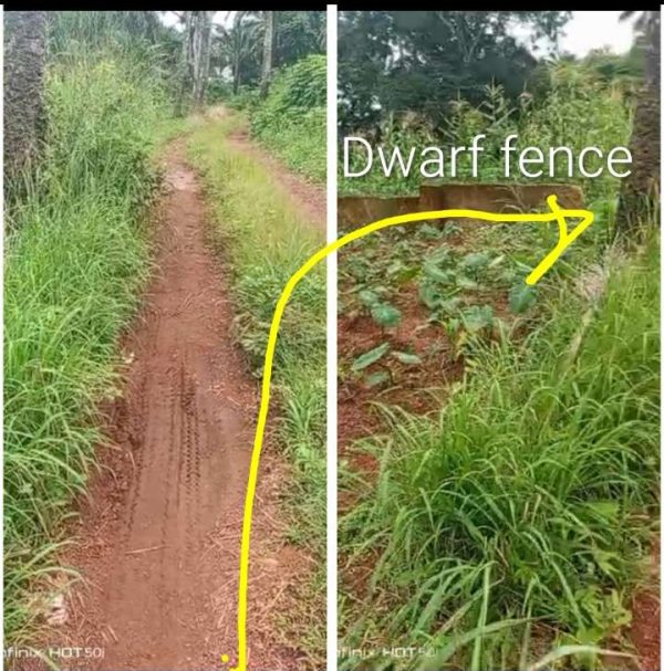 *2540* 1plot, N18m, behind Umudiaka Primary School , Nsukka, ,Nsukka LGA, Enugu State  WhatsApp 09033649738 Properties@Nsukka, Properties@DimmaHome...