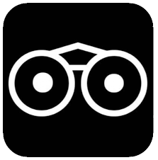 Vicilook Global