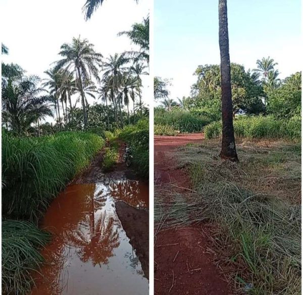 *2549. ⅓ plot, N10m,, Umudiaka, Hiltop , behind Umuachom Primary School, Nsukka, Nsukka LGA Enugu State  Properties@Nsukka, Properties@DimmaHomesNs...