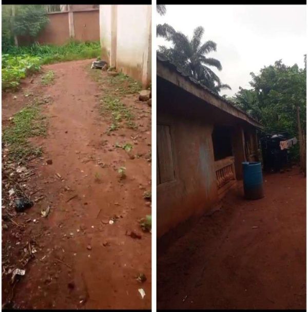 *2554*  1 plot, N20m, Nru, near Ncheke Primary School, with a building on it , Nsukka, Nsukka LGA, Enugu State  Properties@Nsukka, Properties@Dimma...