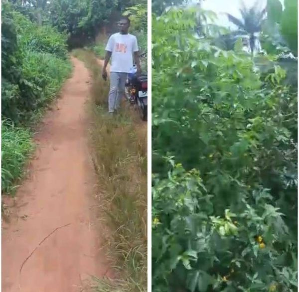 *2558* 1 plot, N16m, Agbani, near New Creation Secondary School, along a street Rd, near tarred Rd , Nsukka, Nsukka LGA, Enugu State  Properties@Ns...