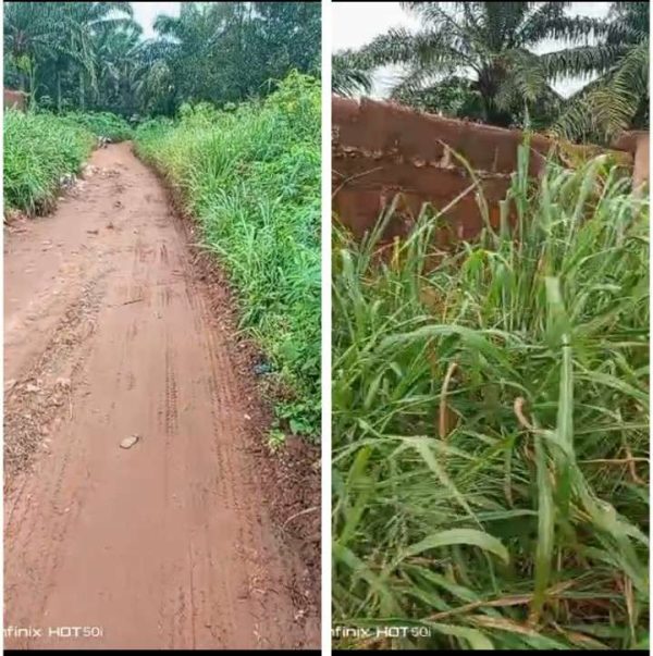 *2562*  3 plots, N65m,  off  Orba road, near the defunct Onyeruouka Prayer Ministry, fenced and gated , Nsukka, Nsukka LGA, Enugu State  Properties...