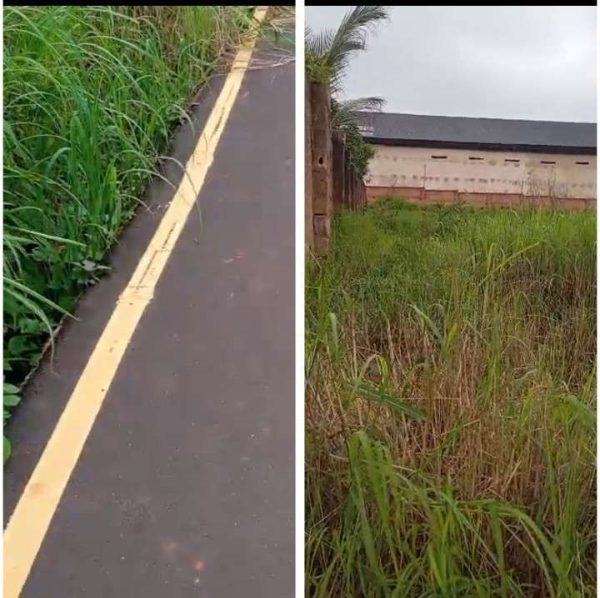 *2561* 12 plots, N250m, Iheakpu Obollo,  along tarred  Nsukka/ Obollo road, Udenu LGA, Enugu State  Properties@Nsukka, Properties@DimmaHomesNsukka ...
