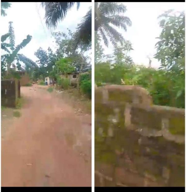 *2571*  2 plots, N42m, Eburumiri, on a street Rd ( 200 by 120) , Nsukka, Nsukka LGA, Enugu State  Properties@Nsukka, Properties@DimmaHomesNsukka Wh...