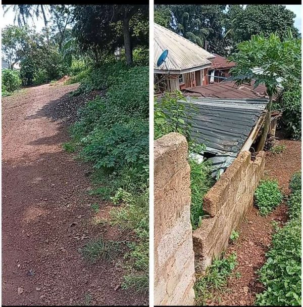 *2581*  1 plots, N26m, Hiltop, off major Hiltop Gate –Hitop Transformer–Ugwunandida Rd, behind  Akachukwu Hostel, Nsukka, Nsukka LGA, Enugu State