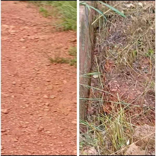 *2582*  1 plots, N26m, Hiltop, off major Hiltop Gate –Hitop Transformer–Ugwunandida Rd, behind Chinemerem Lodge, behind Akachukwu Hostel, Nsukka, N...