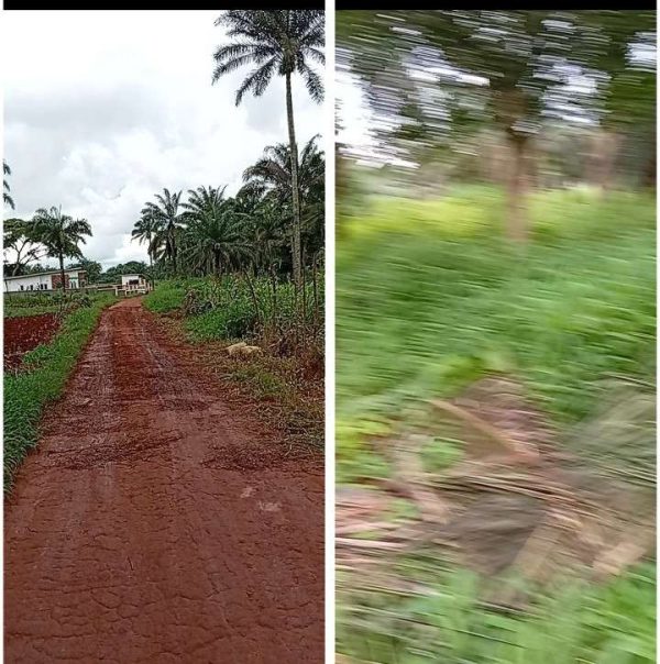 *2585* 1 plots, N35m, Hiltop, off Hiltop Gate–Umudiukwu–Orba Rd Road,, along a minor street Rd, Nsukka, Nsukka LGA, Enugu State  Properties@Nsukka,...