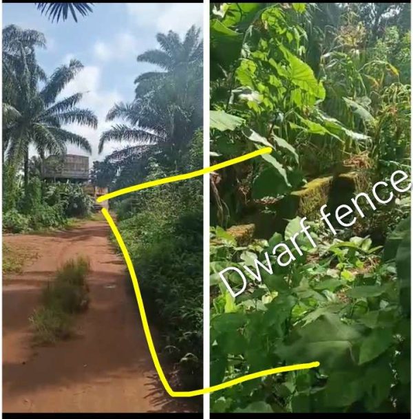 *2591 1 plot, N27m, Owerenu, near Amokwe, off Enugu Rd, off Timber Rd,  with dwarf fence,  Nsukka,, Nsukka Local  Government Area, Enugu State Prop...