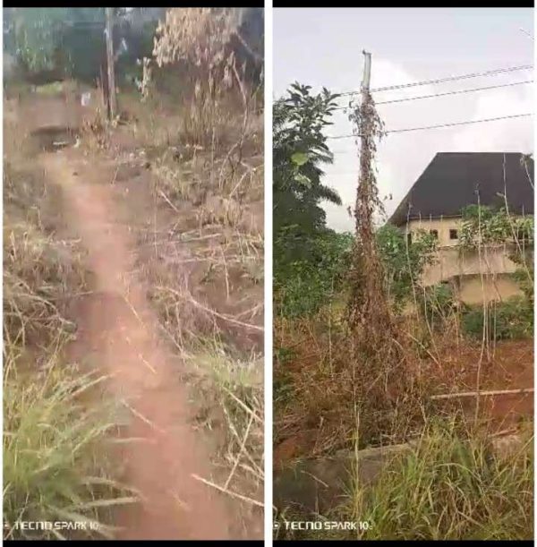 *2056* .2 plots, N43m, off Ibeagwa Rd, off MCC Rd, beside Oxford Guest hozuse, , Nsukka,, Nsukka Local Government Area, Enugu State  Properties@Nsu...