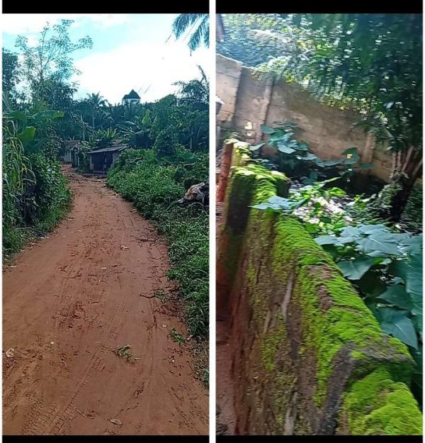2597 1½ plots N43m,  Isiuja, off Ibeagwa Ani-Ida Rd,, opposite Geebest Filling Station, about 2 poles from the tarred Rd, fenced but without gate, ...