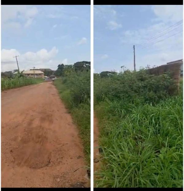 *2600*  1½ plots,N38m, off Ibeagwa Rd, on a tarred Rd , near Jonas Arena, at Oliver Hill near Obukpa Layout, Nsukka, Nsukka LGA, Enugu State Proper...
