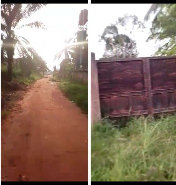 *2551* 1 plot, N33m, off Urban Girl's Rd, UmaKashi, opposite Wilson School, fenced and gated , Nsukka, Nsukka LGA, Enugu State  Properties@Nsukka, ...