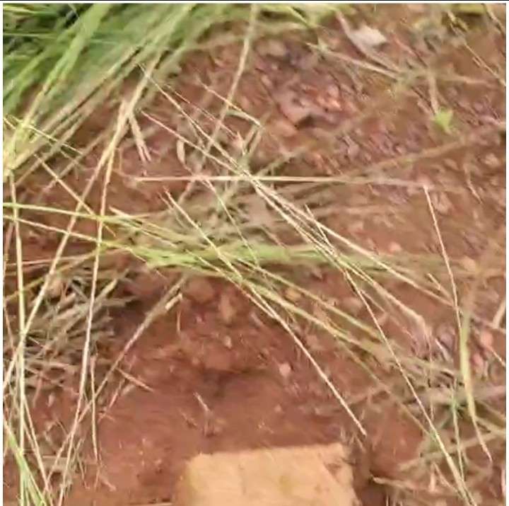933091.jpg