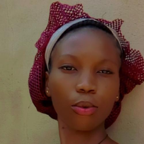 Profile picture of Nwene kosisochukwu scholarstical