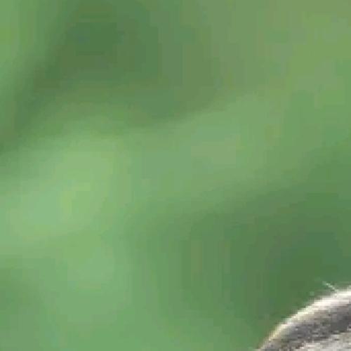 Profile picture of Ebele Aghadiuno Perpetual