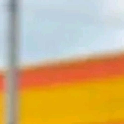 Profile picture of Noble