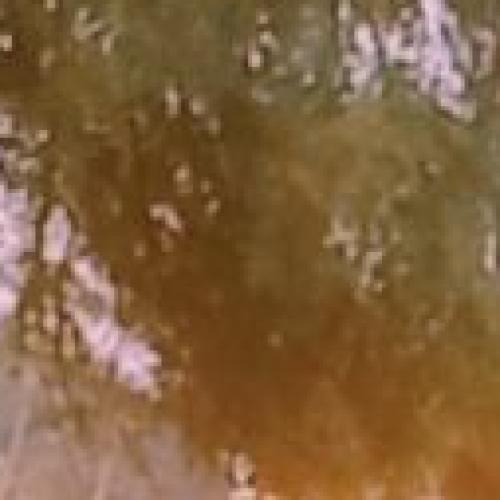 Profile picture of Ossai-ekere chidaalu Appolonia