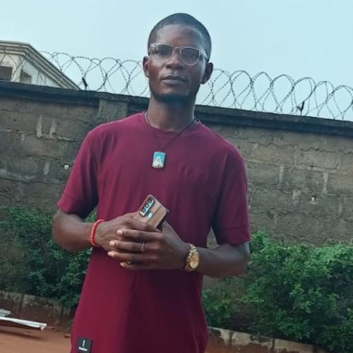 Profile picture of Ikebudu chibuzor Godwin
