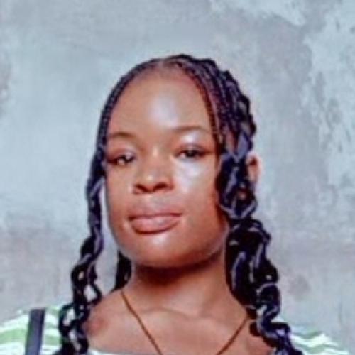 Profile picture of Anachebe Ebubechukwu Lucy