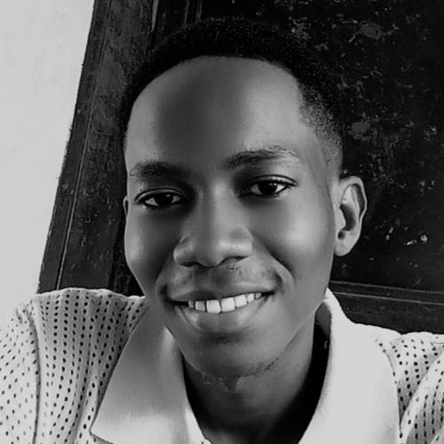 Profile picture of Nwabugwu Chibuikem Marvellous