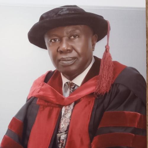 Profile picture of Aloysius C Ozuah