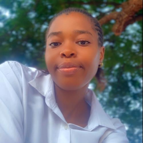 Profile picture of Ibesi Faustina Nzubechukwu