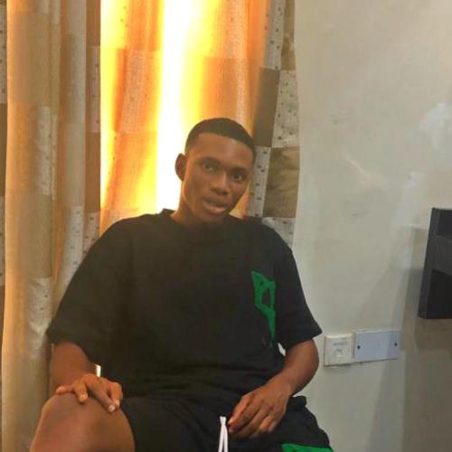 Profile picture of Uchendu Emeka Henry