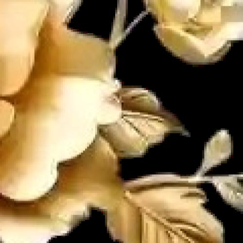 Profile picture of Agu Favour Mmesoma