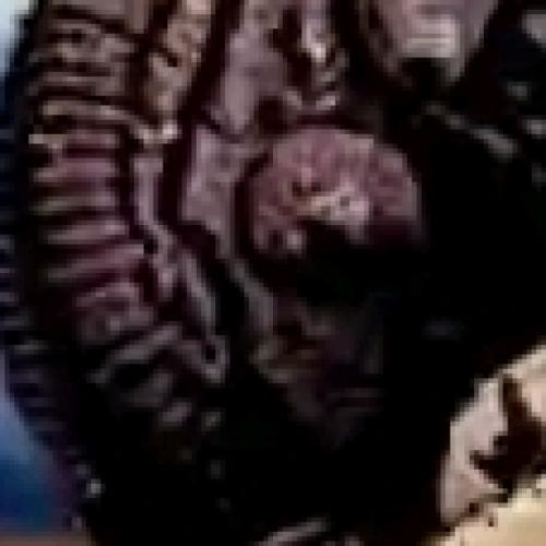 Profile picture of Oliver Gift Uchechi